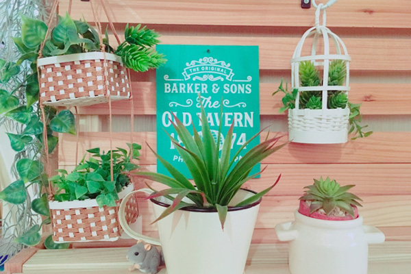 除了種類豐富的玩具之外，百元店也有適合成年人的時尚雜貨。在這些商店里，總有一些東西能引起您的興趣。