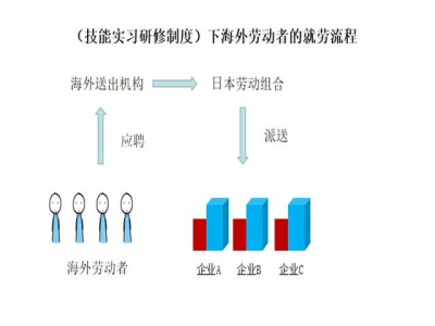 日本研修生和研究生的區別！一字之差，天壤之別